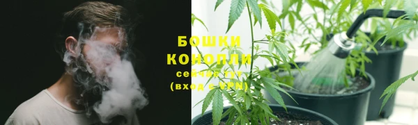 стаф Нея