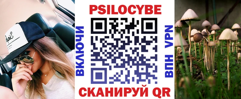 Псилоцибиновые грибы Cubensis  Купить где  Ейск 